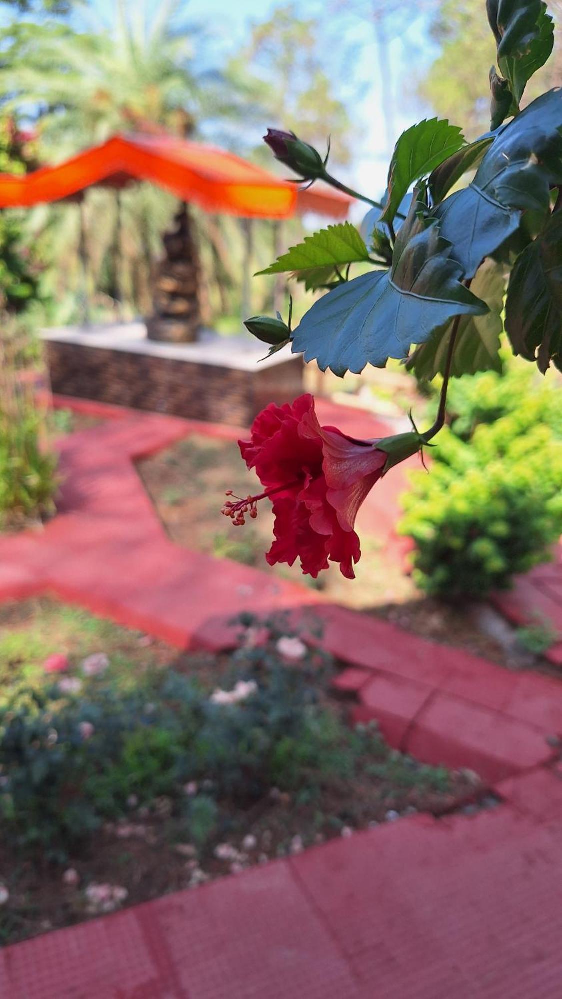Tathastu Bir -Homestay ,Dorm,Hostel Bagian luar foto