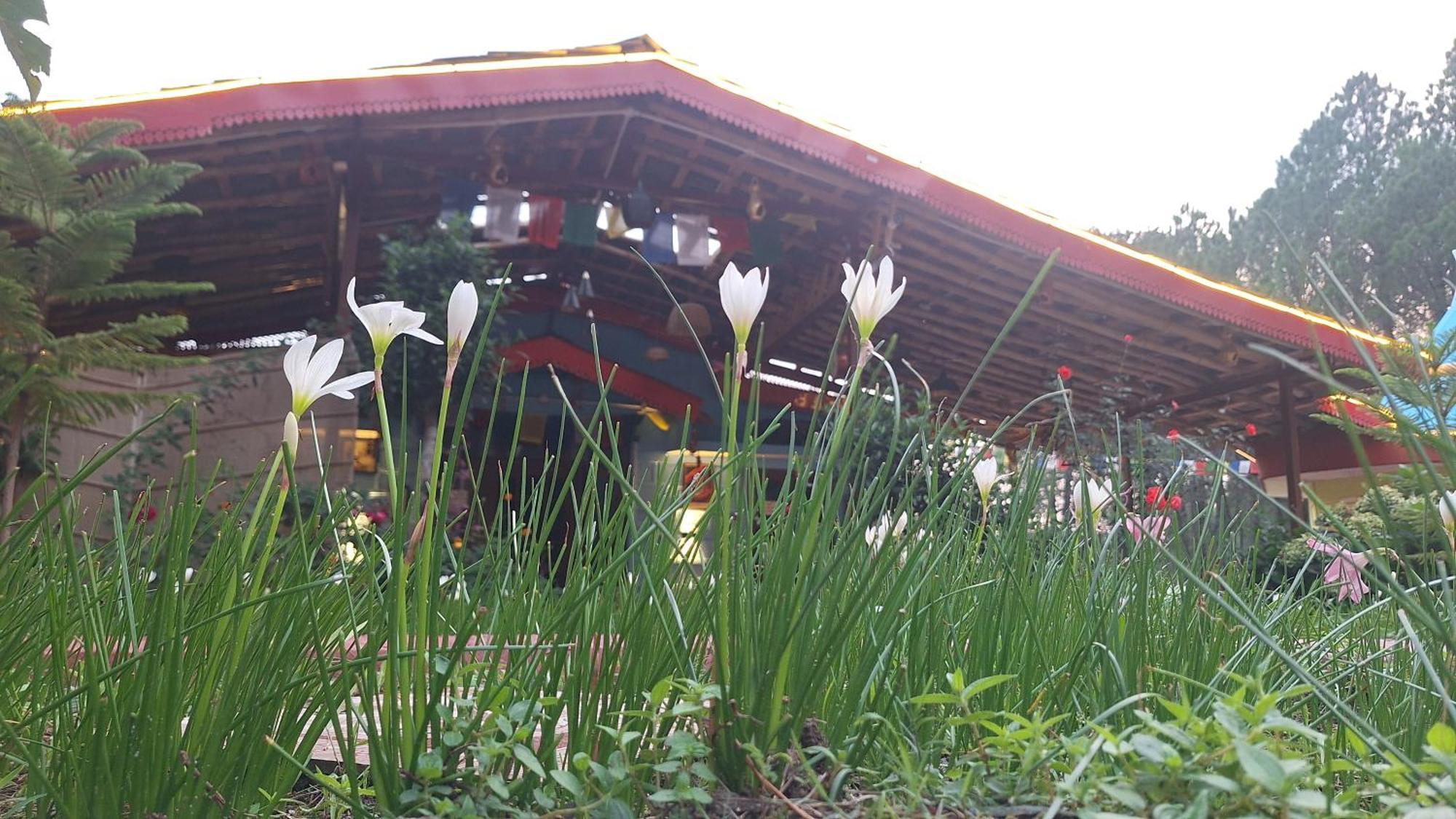 Tathastu Bir -Homestay ,Dorm,Hostel Bagian luar foto