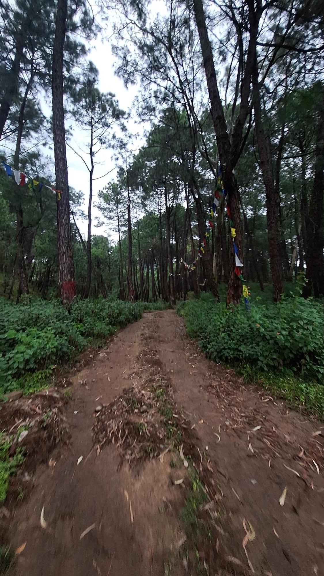Tathastu Bir -Homestay ,Dorm,Hostel Bagian luar foto